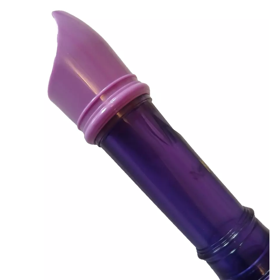Descant Recorder Purple Ideal For School - Kent