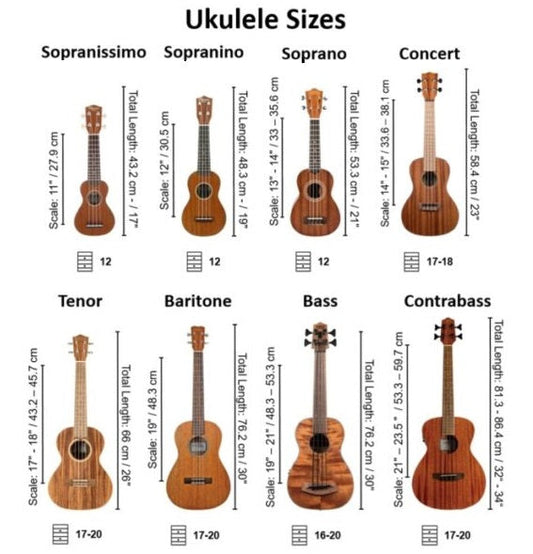 Introducing The Ukulele Family
