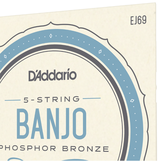 D'Addario EJ69 Banjo 5-String G-Banjo Set 09-20 Light Loop End