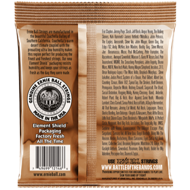 Ernie Ball Earthwood Phosphor Bronze Acoustic Guitar Strings 12-54