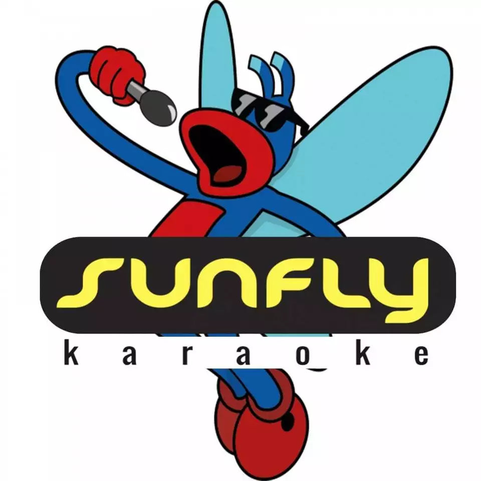 Sunfly Karaoke CDG CD Most Wanted Volume 810 CD+G Disc 15 Backing Tracks