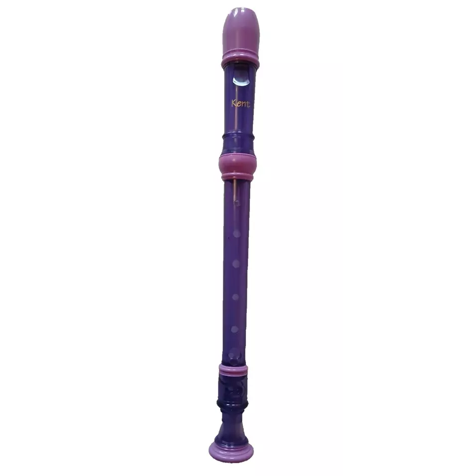 Descant Recorder Purple Ideal For School - Kent
