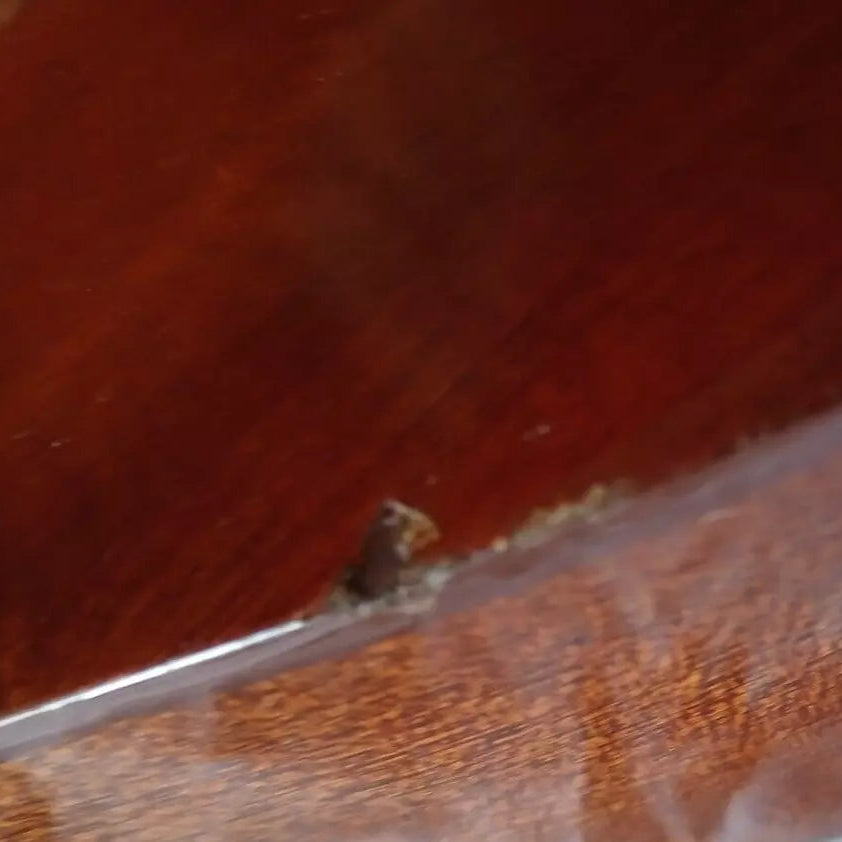 Acoustic Guitar EKO P2 Made In Italy 1960s Vintage PROJECT/SPARES